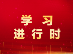 香港六六宝典