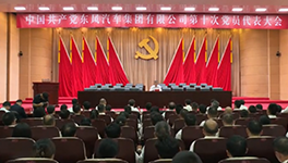 香港六六宝典