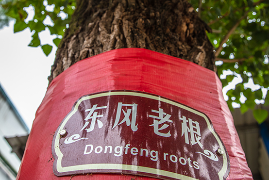 香港六六宝典